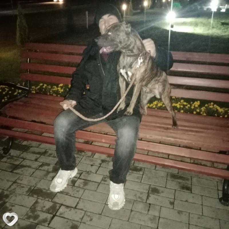 Andry, Рогачев
