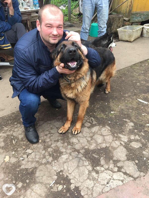 Паша, 38, Могилев — анкета №32451