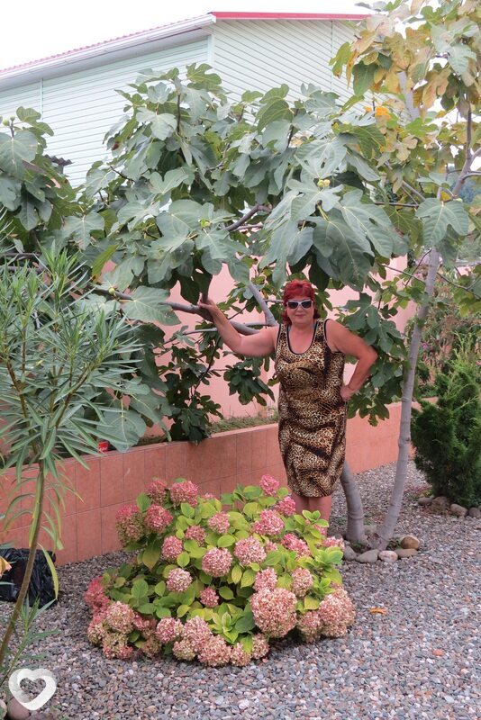 Галина, Вологда