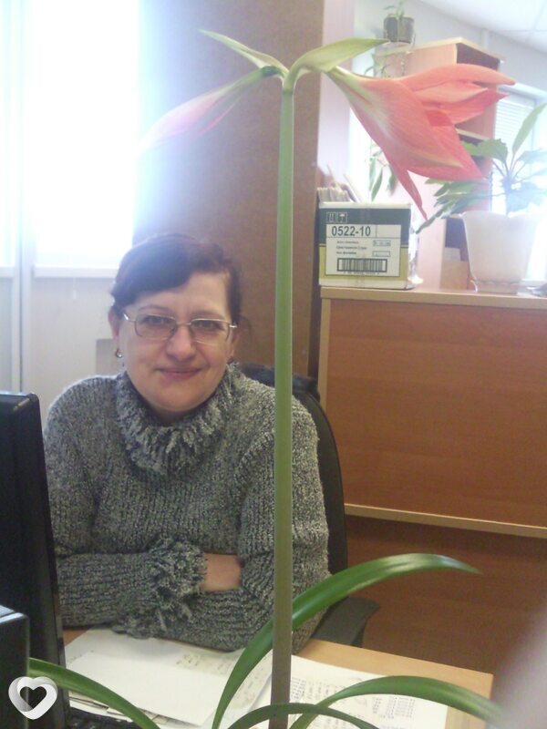 Светлана, 63, Минске — анкета №36930