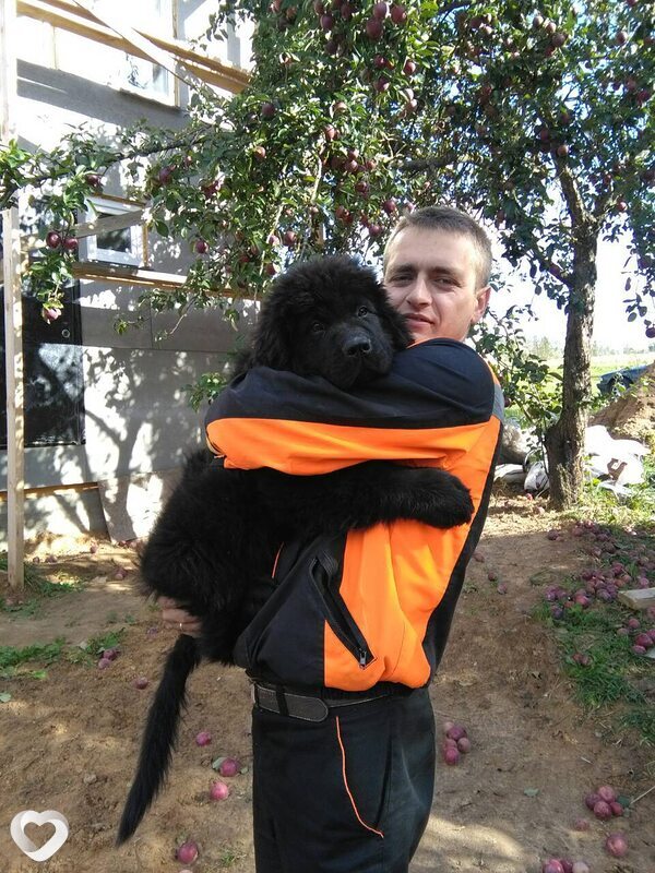 Денис, 41, Орше — анкета №38106