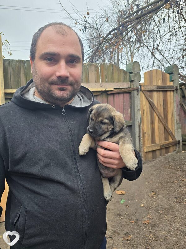 Максим, 35, Каменеце-Подольском — анкета №38204