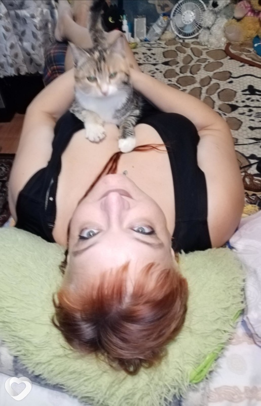 Кошка, 52, Котласе — анкета №41513