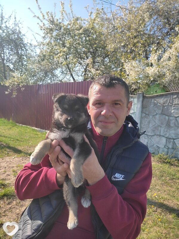 Денис, 42, Борисове — анкета №41736