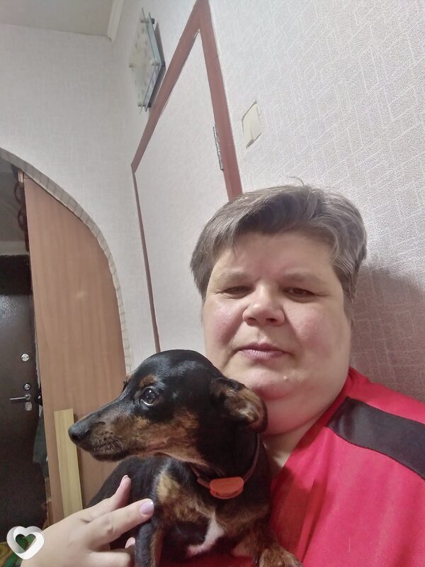 Светлана, 50, Тюмени — анкета №41895