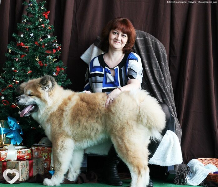 Елена, 50, Новосибирске — анкета №45662