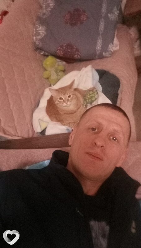 Све, 41, Ульяновске — анкета №45989