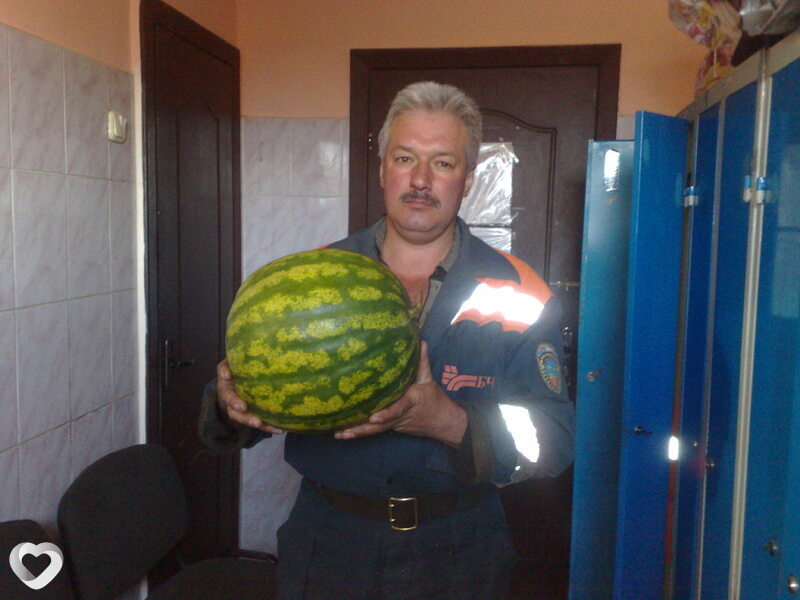 Анатолий, 59, Бресте — анкета №49845