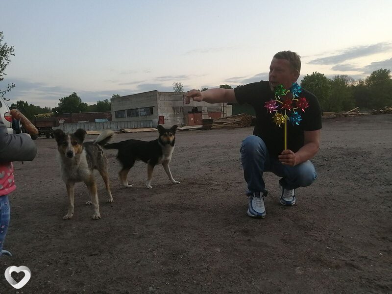 Игорь, 53, Калинковичах — анкета №50396