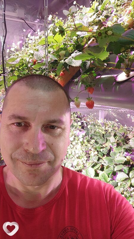 Николай, 44, Новосибирске — анкета №52392