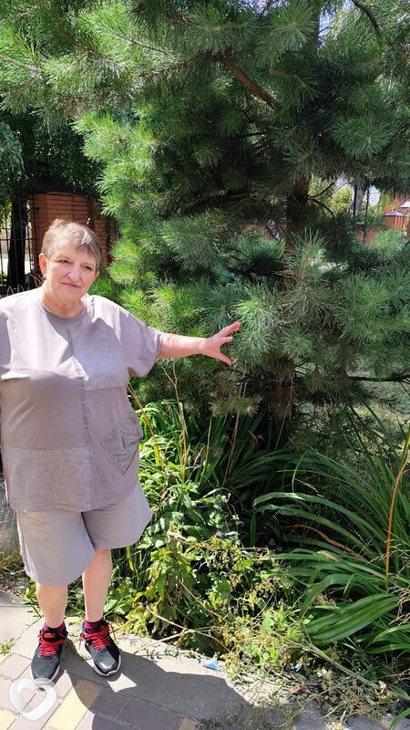 Людмила, 69, Курске — анкета №52565