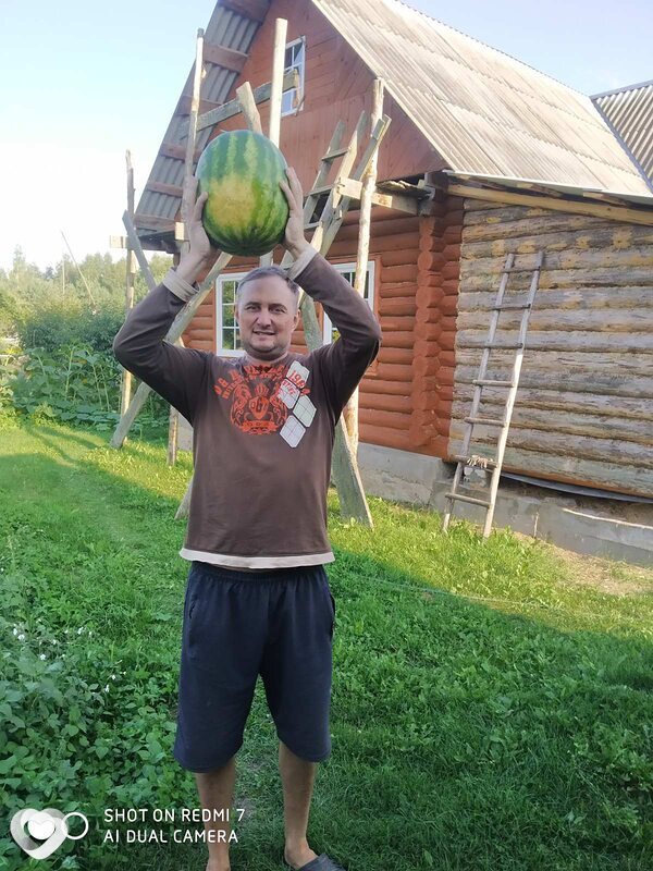 Дима, 47, Полоцке — анкета №52789