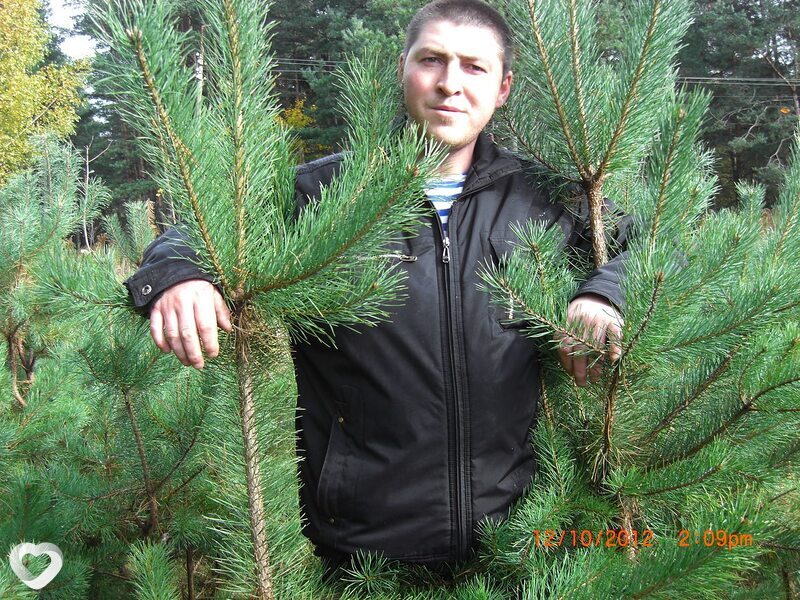 Андрей, 49, Минске — анкета №54795