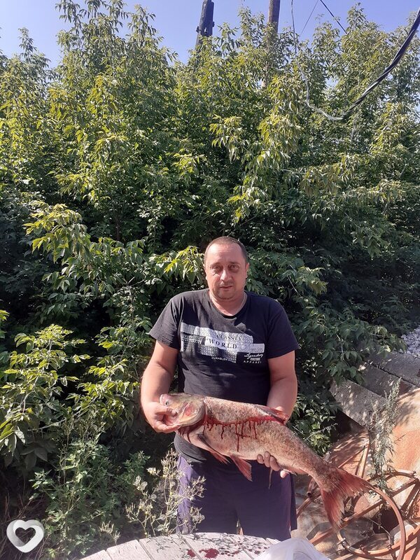 Александр, 46, Белове — анкета №55057