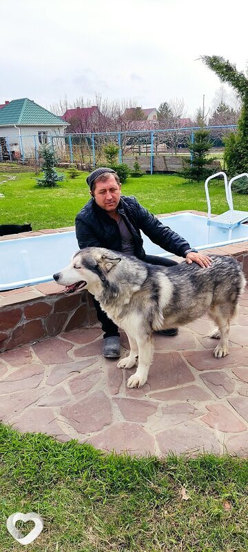 Александр, 46, Пензе — анкета №55396
