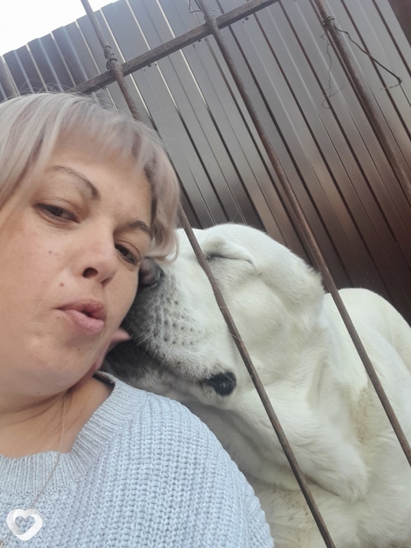 Лиза, 41, Таганроге — анкета №56779