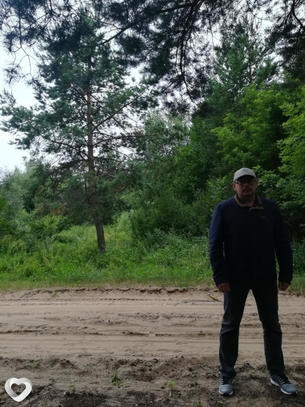 Алексей, Дисна