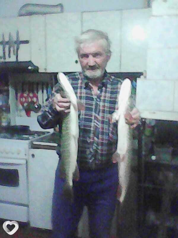 Анатолий, Шушенское