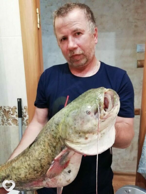 Павел, 50, Перми — анкета №59539