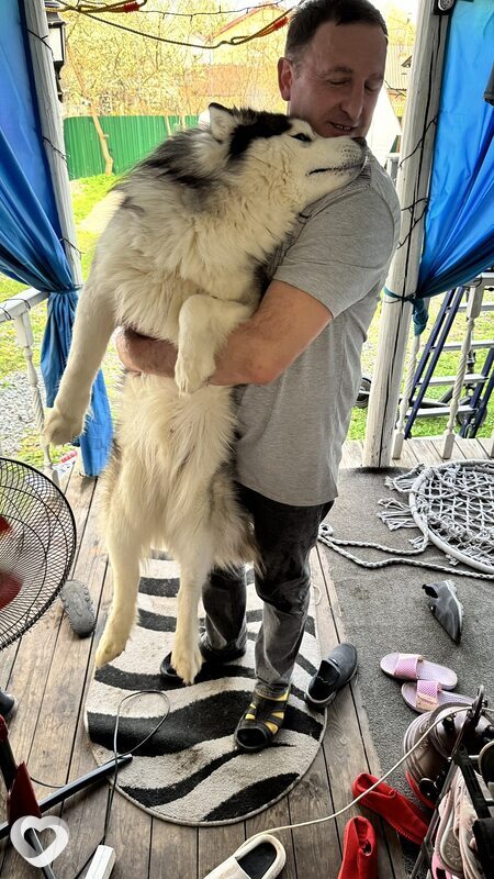 Александр, 46, Витебске — анкета №63104