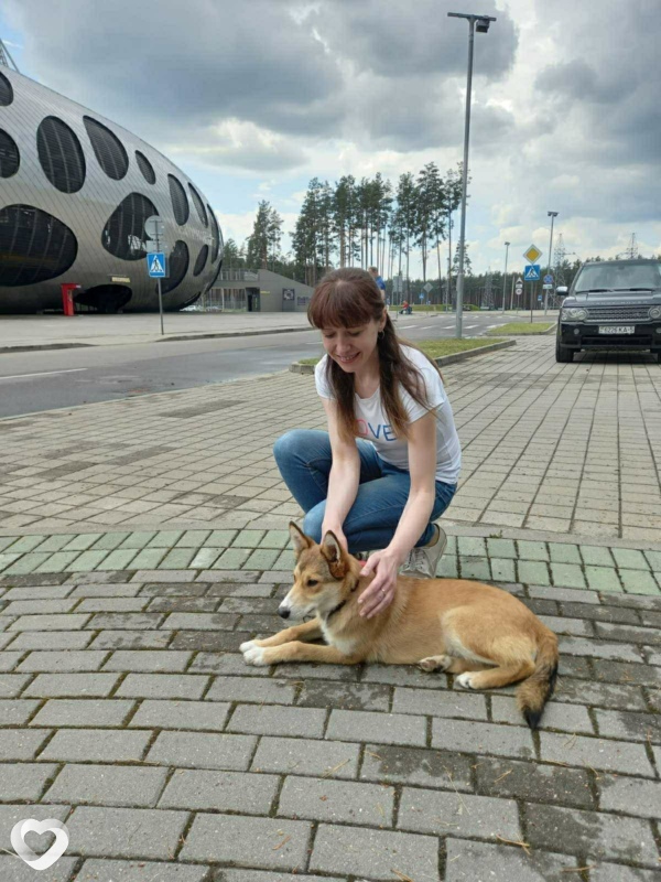 Елена, 43, Минске — анкета №63490