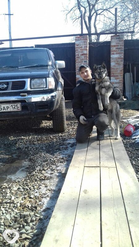Dima, 34, Артеме — анкета №64425
