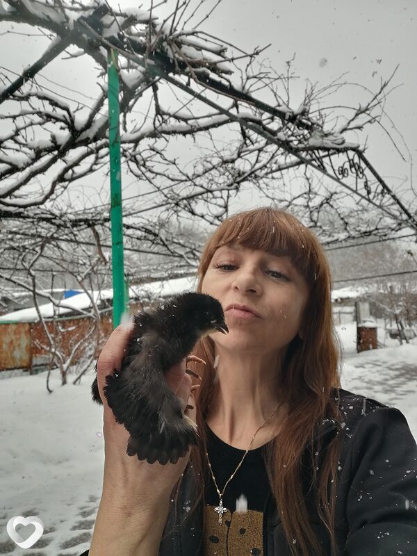 Дара, Выселки