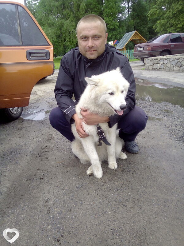 Виктор, 41, Гдыня — анкета №73618