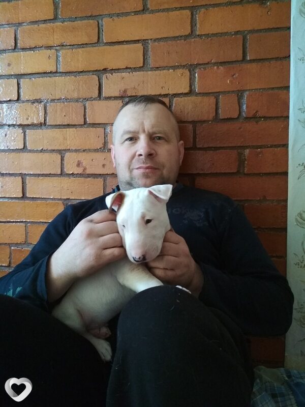 Генрих, 50, Витебске — анкета №74888