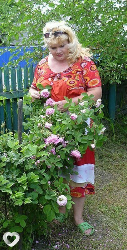 Людмила, Каменское