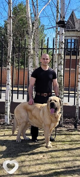 Сергей, 35, Новополоцке — анкета №76748
