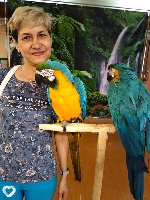 Антонина, 53, Златоусте — анкета №77578