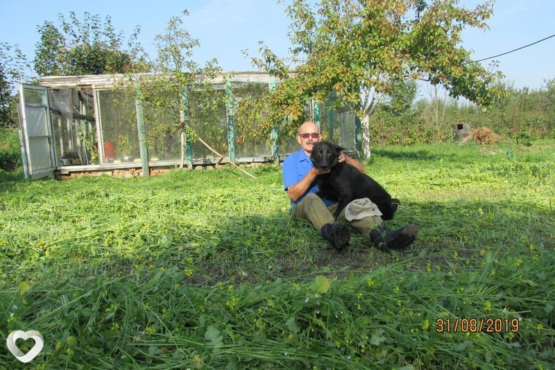 Петр, 59, Жлобине — анкета №79318