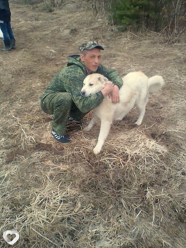 Сергей, 42, Вологде — анкета №79485
