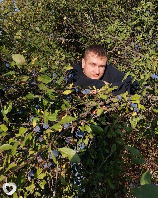 Вадим, 38, Белгороде — анкета №79585