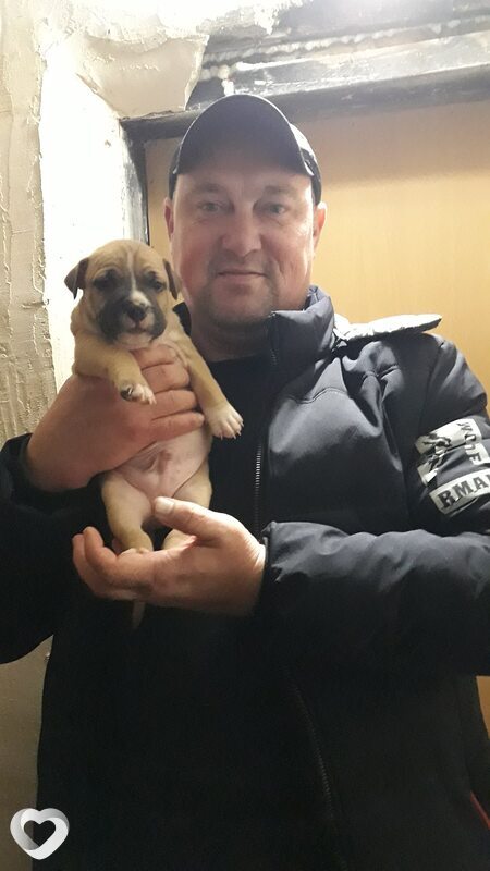 Максим, 44, Днепр — анкета №80701