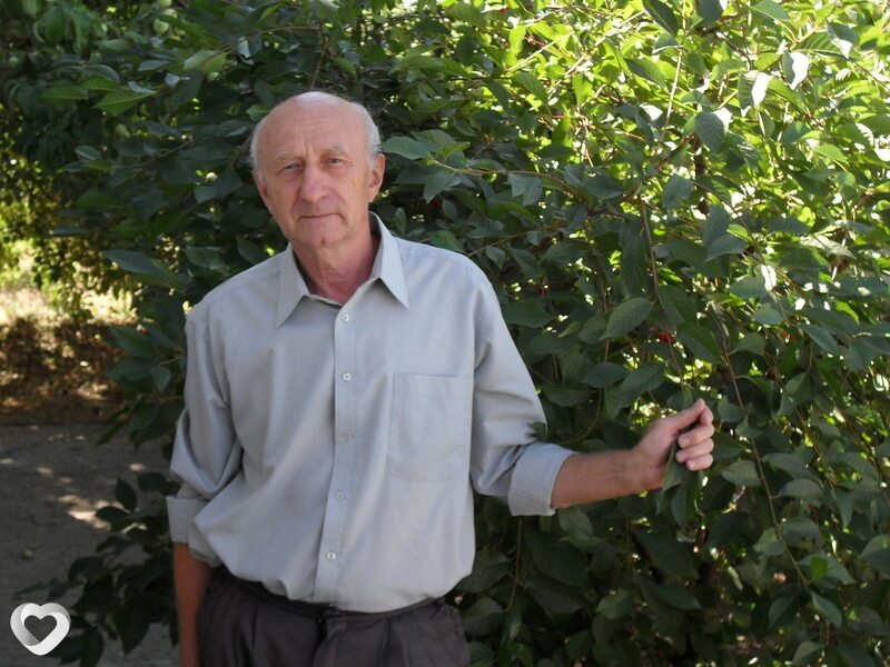 Виктор, 67, Волгограде — анкета №80934
