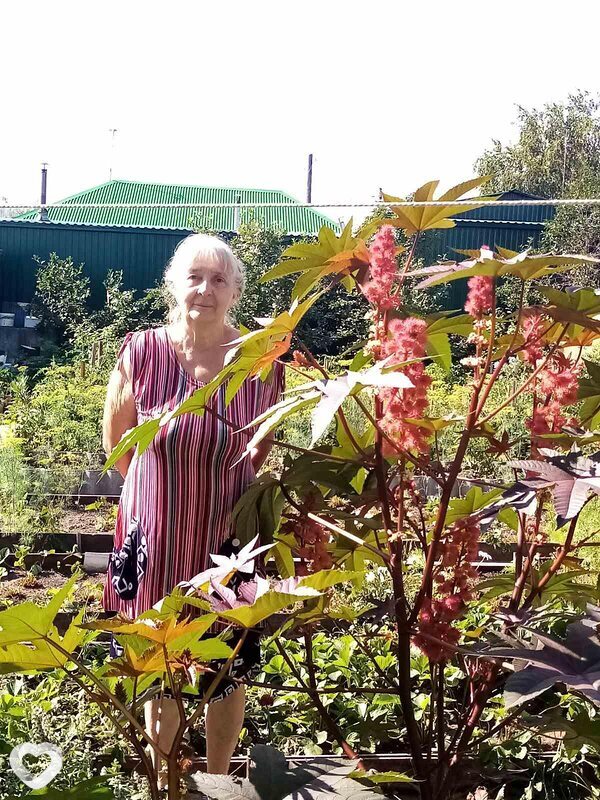 Лидия, 67, Тюмени — анкета №86777