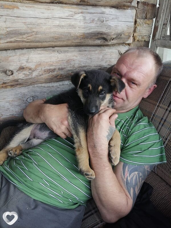 Вова, 52, Твери — анкета №87379