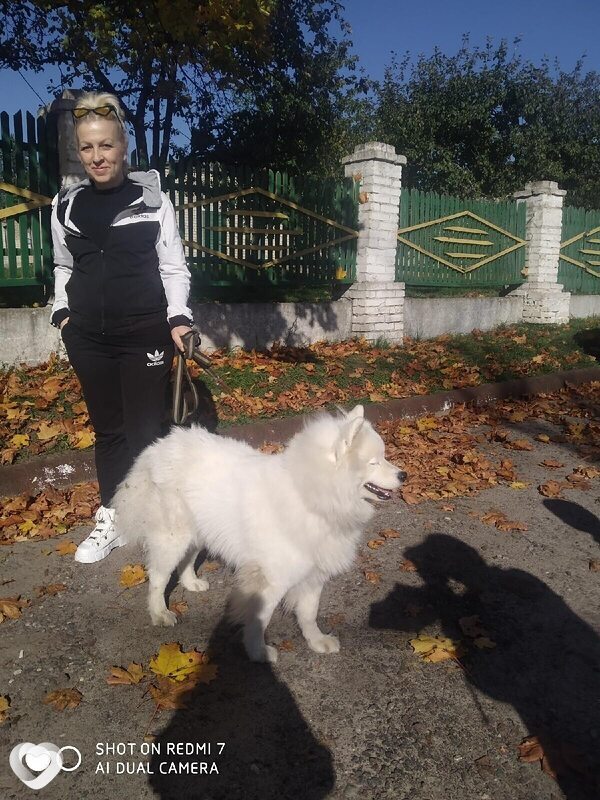 Наталья, 53, Гомеле — анкета №92064