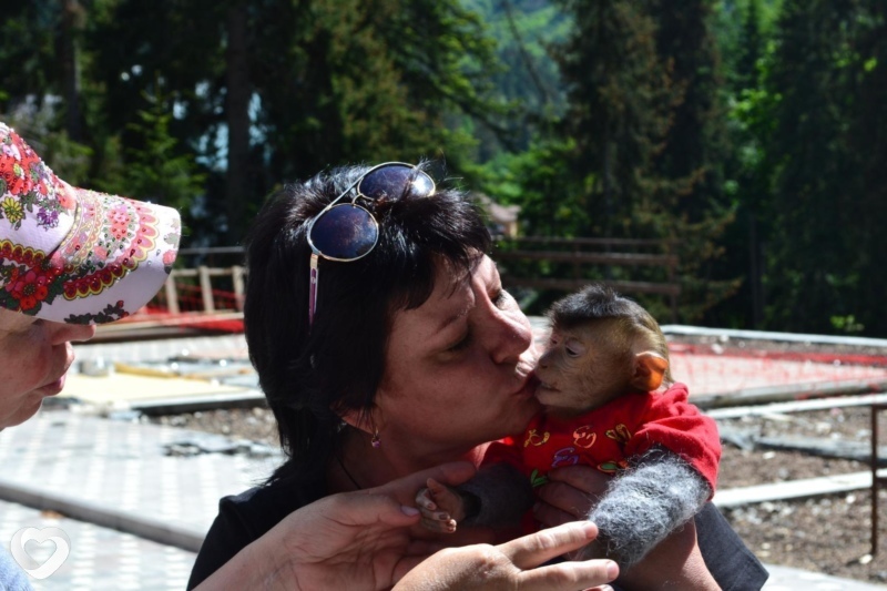 Елена, 58, Пятигорске — анкета №94971