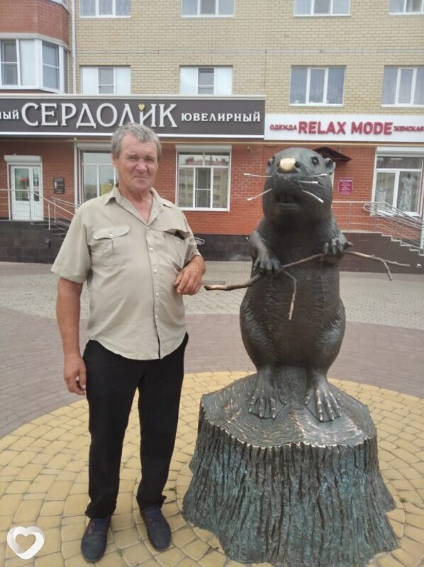 Vik, 61, Павловск (Воронежская Обл) — анкета №95213