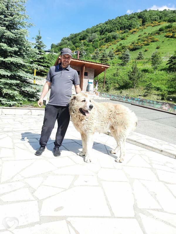 Эмзар, 44, Владикавказе — анкета №97896