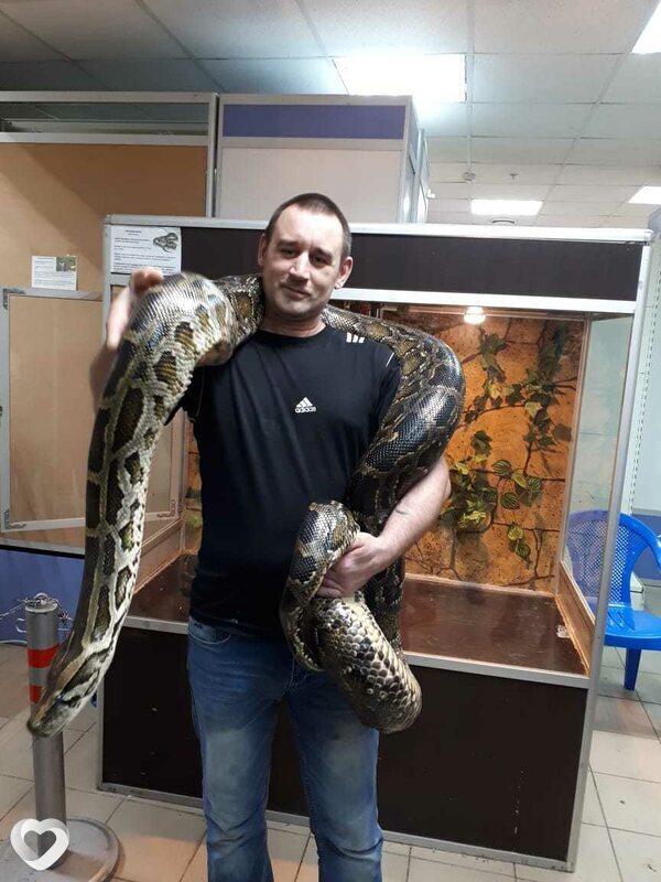 Сергей, 41, Вологде — анкета №99248