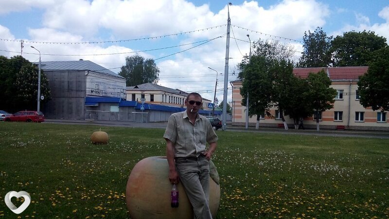Cfif, Корма