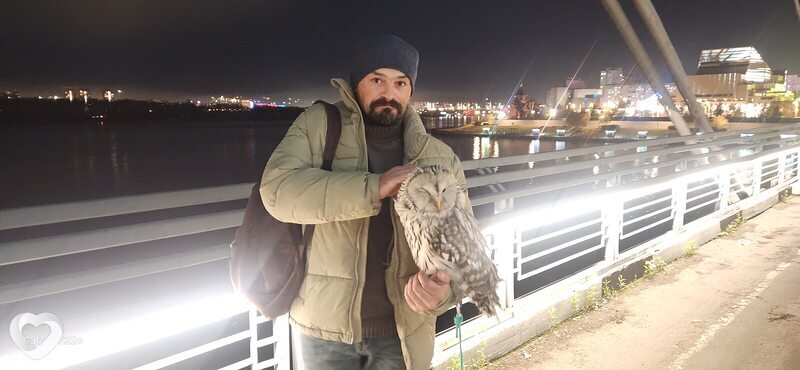 Владимир, 46, Красноярске — анкета №104264
