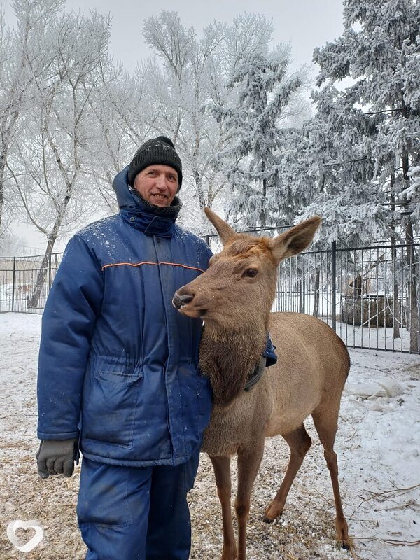 Дмитрий, 52, Абакане — анкета №105179