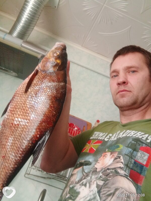 Владимир, 49, Вольске — анкета №105752