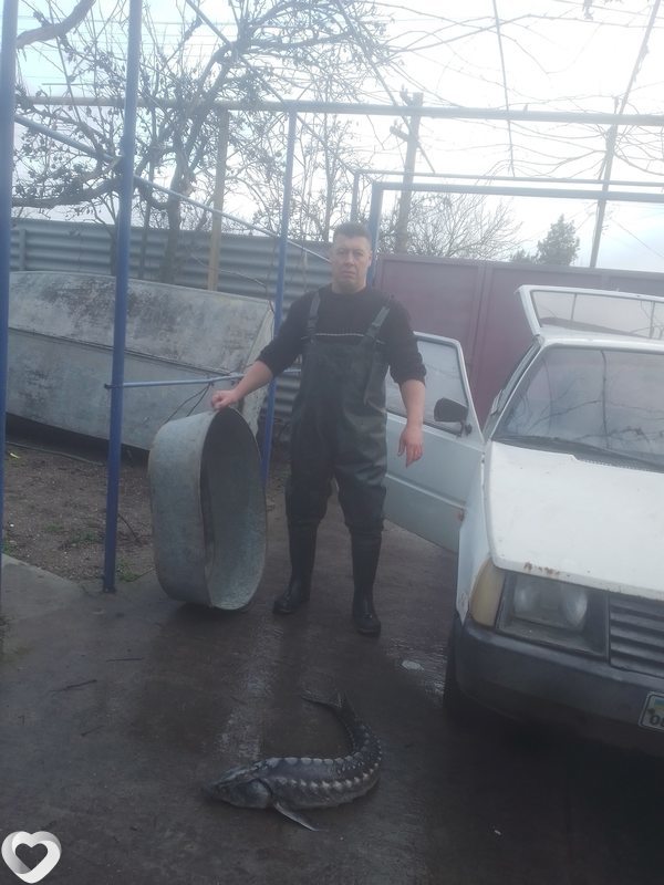 Анатолий, 47, Бердянске — анкета №106422