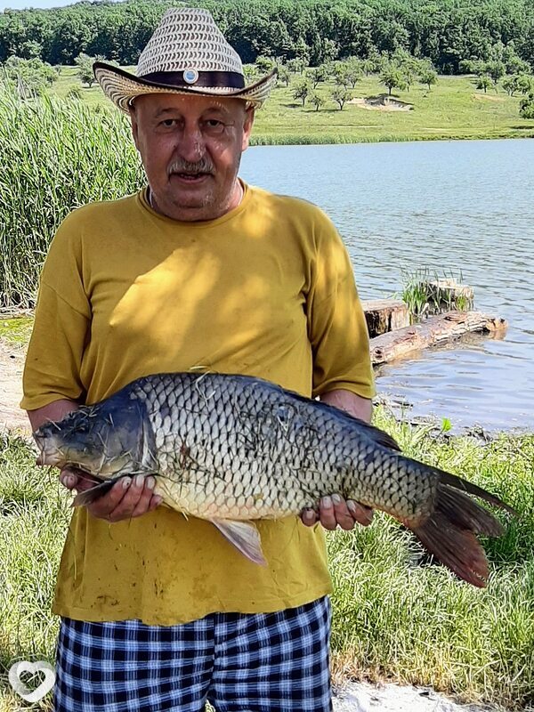 Nicolae, Кишинёв